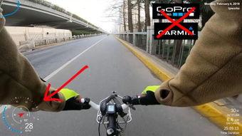 gar434在线视频,探索未知领域的深度解析